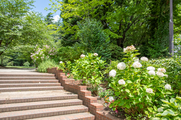 錦町公園の入り口